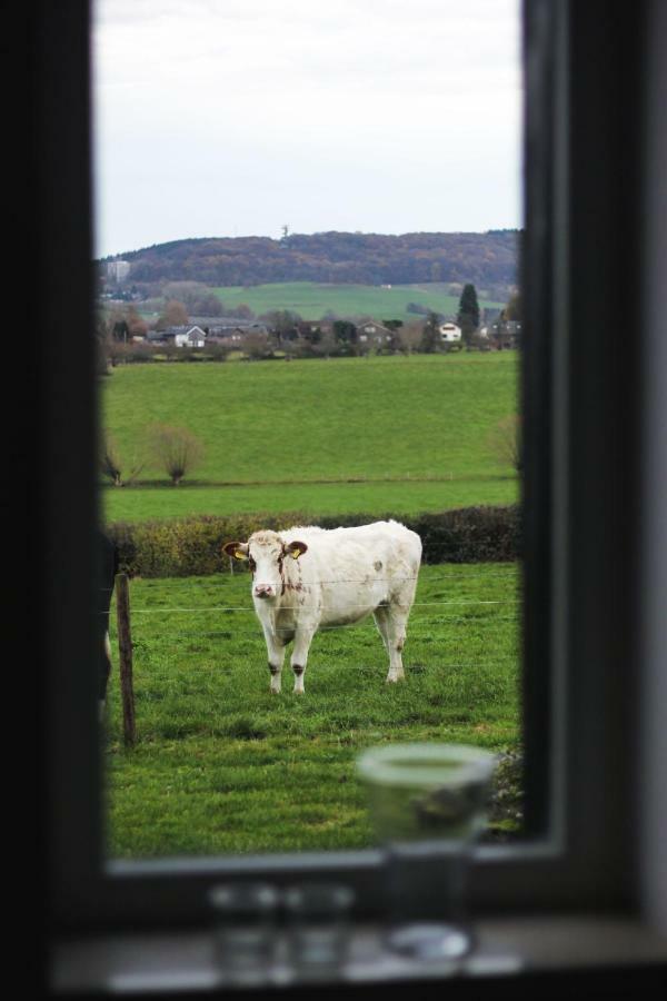 Hoeve "Doodleger" Vijlen Exterior foto